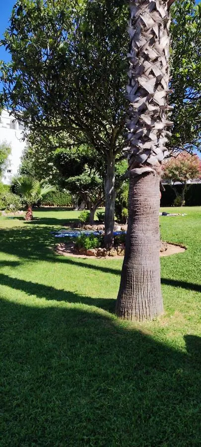 Delta Del Sur Apartment Benalmadena Spain